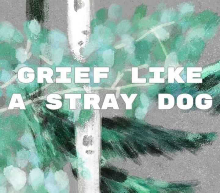 Buy Grief like a stray dog Steam (PC) - Steam CD Key - GLOBAL - Cheap - PremiumCDKeys.com
