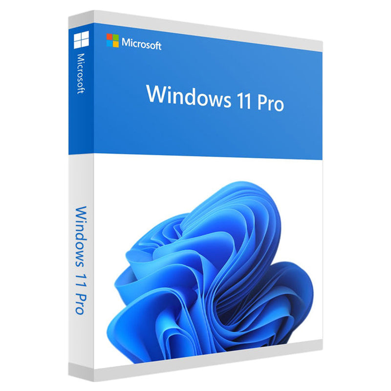 Windows 11 Professional OEM CD Key